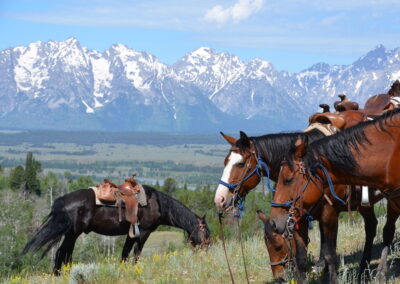 Moose Head Ranch WY - Horses & Tetons